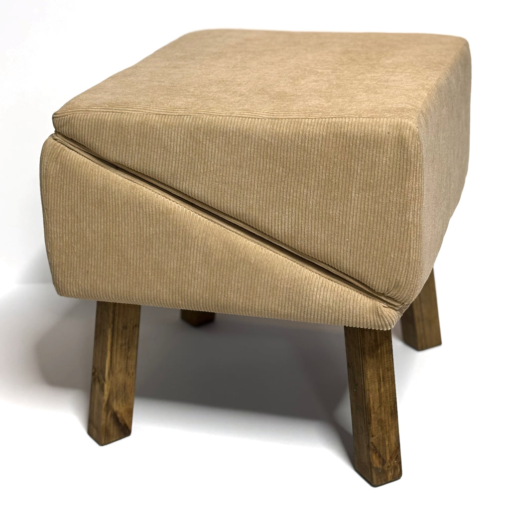 Dog ramp - רמפה לכלב