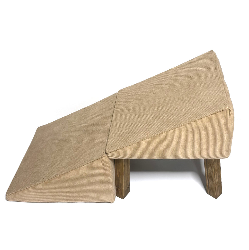 Dog ramp - רמפה לכלב