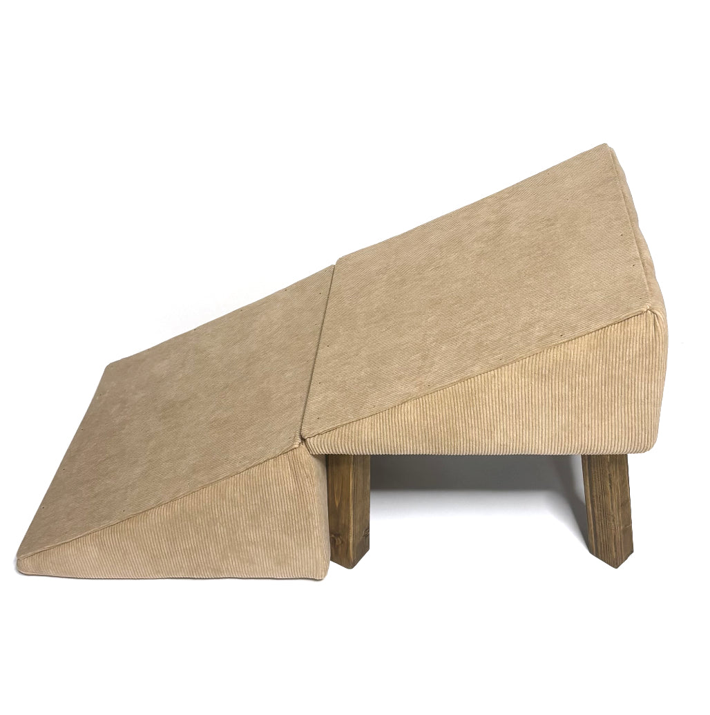 Dog ramp - רמפה לכלב