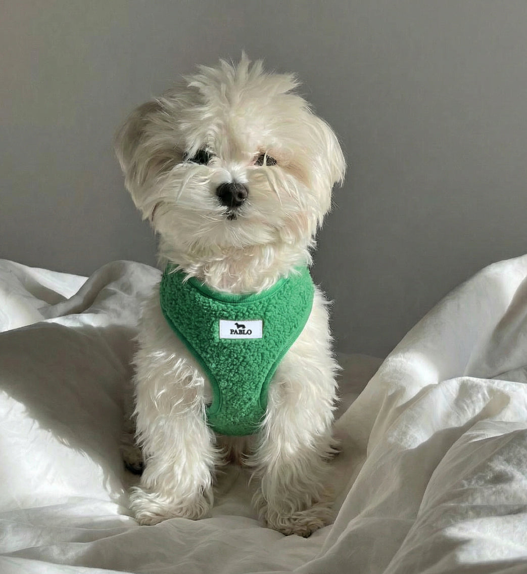 Green harness - רתמה ירוקה