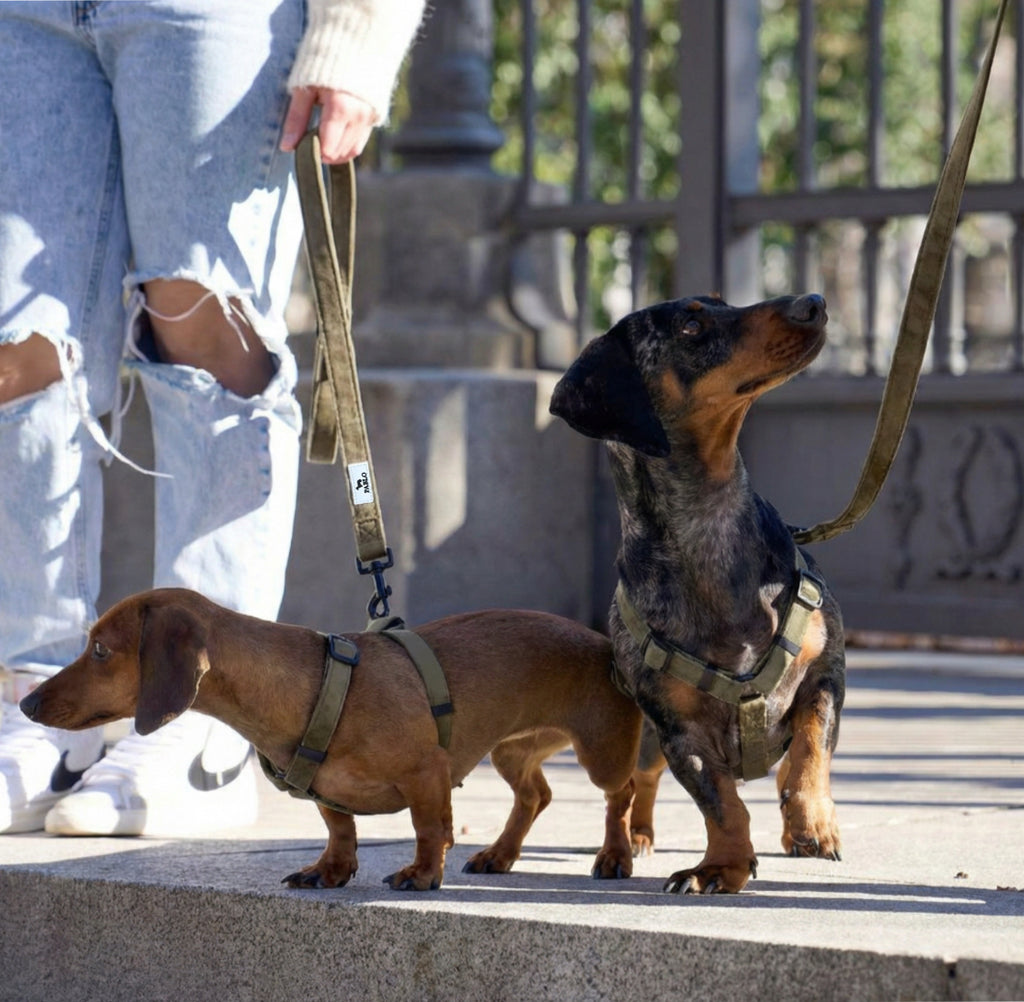Velvet brown set - סט ״זמש״ חום
