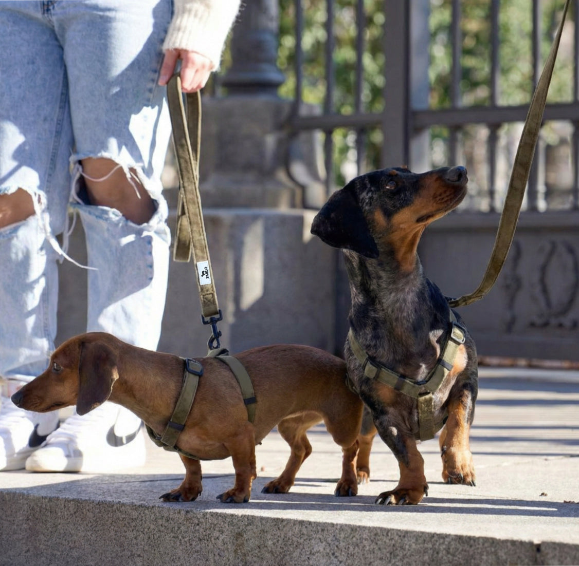 Velvet brown set - סט ״זמש״ חום