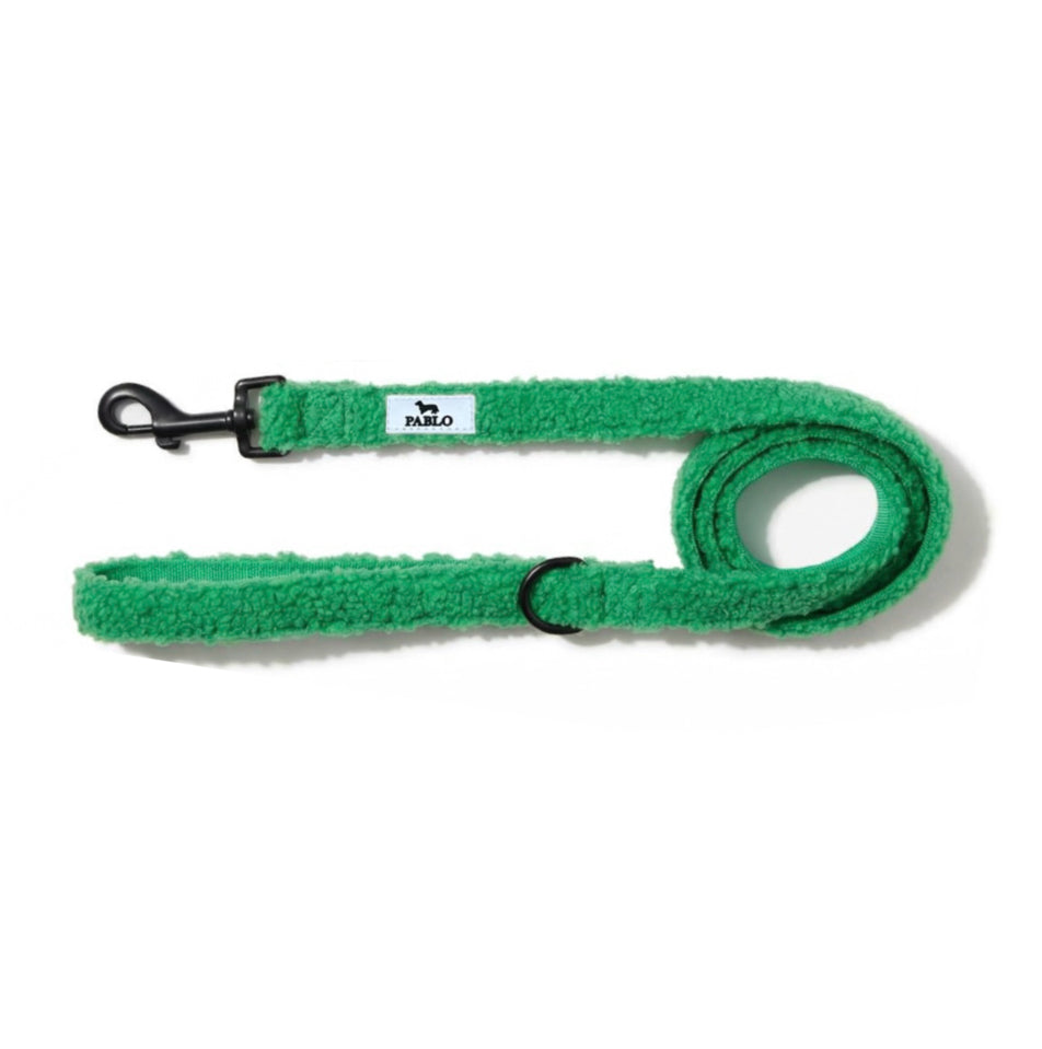 Green leash - רצועה ירוקה