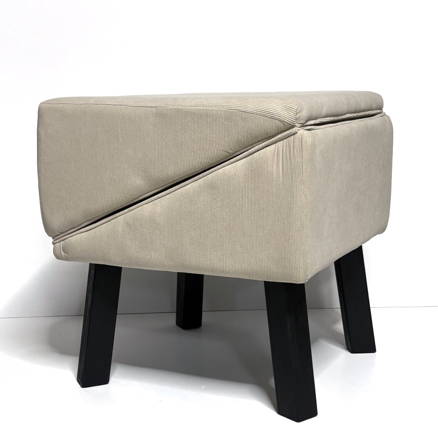 Dog ramp - רמפה לכלב