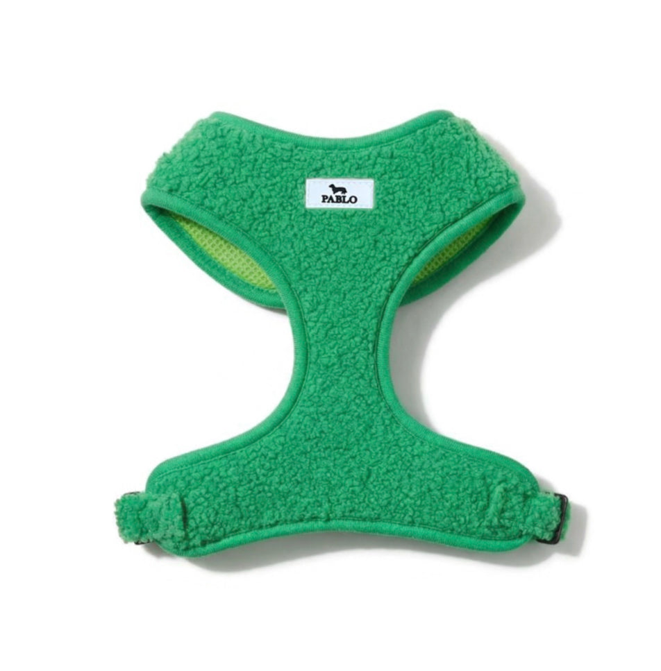 Teddy green set - סט ״טדי״ ירוק