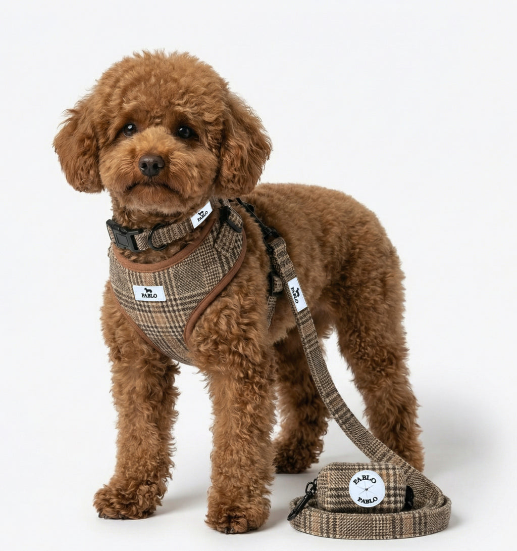 Burbery harness- רתמה חומה עם משבצות