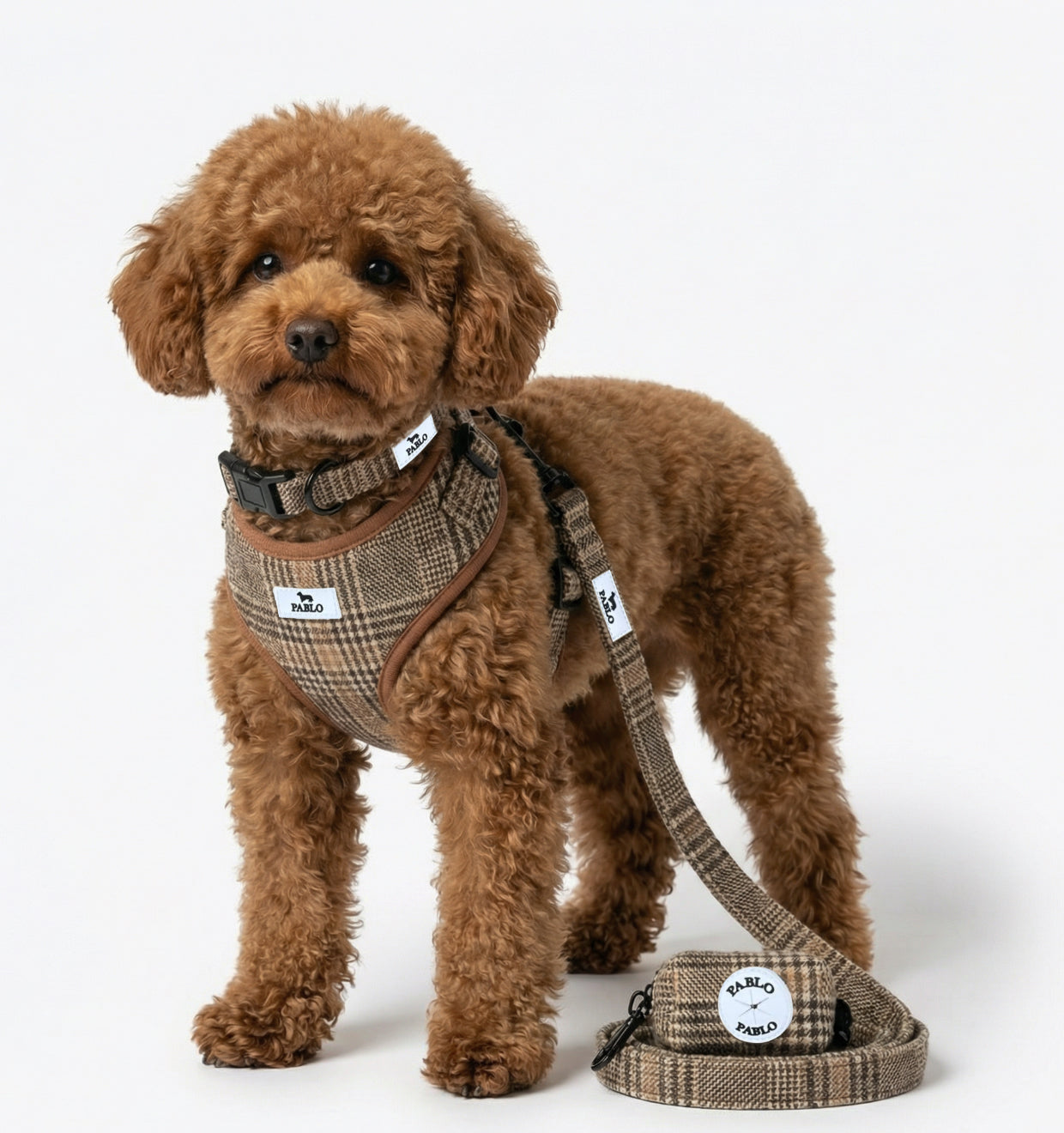 Burbery harness- רתמה חומה עם משבצות