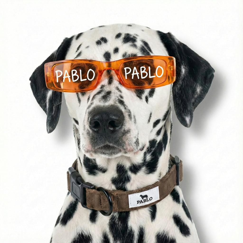 Brown collar - קולר חום