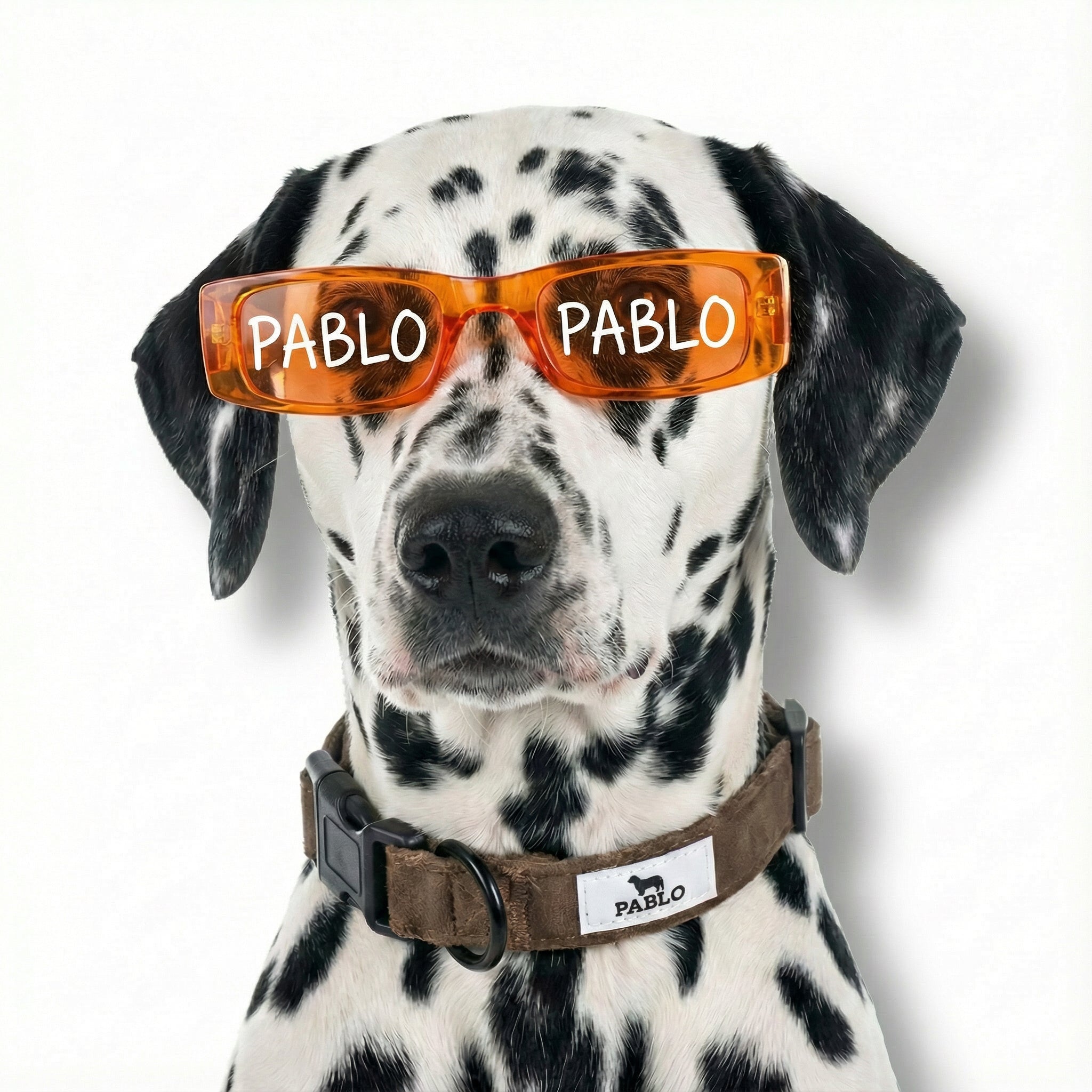 Brown collar - קולר חום