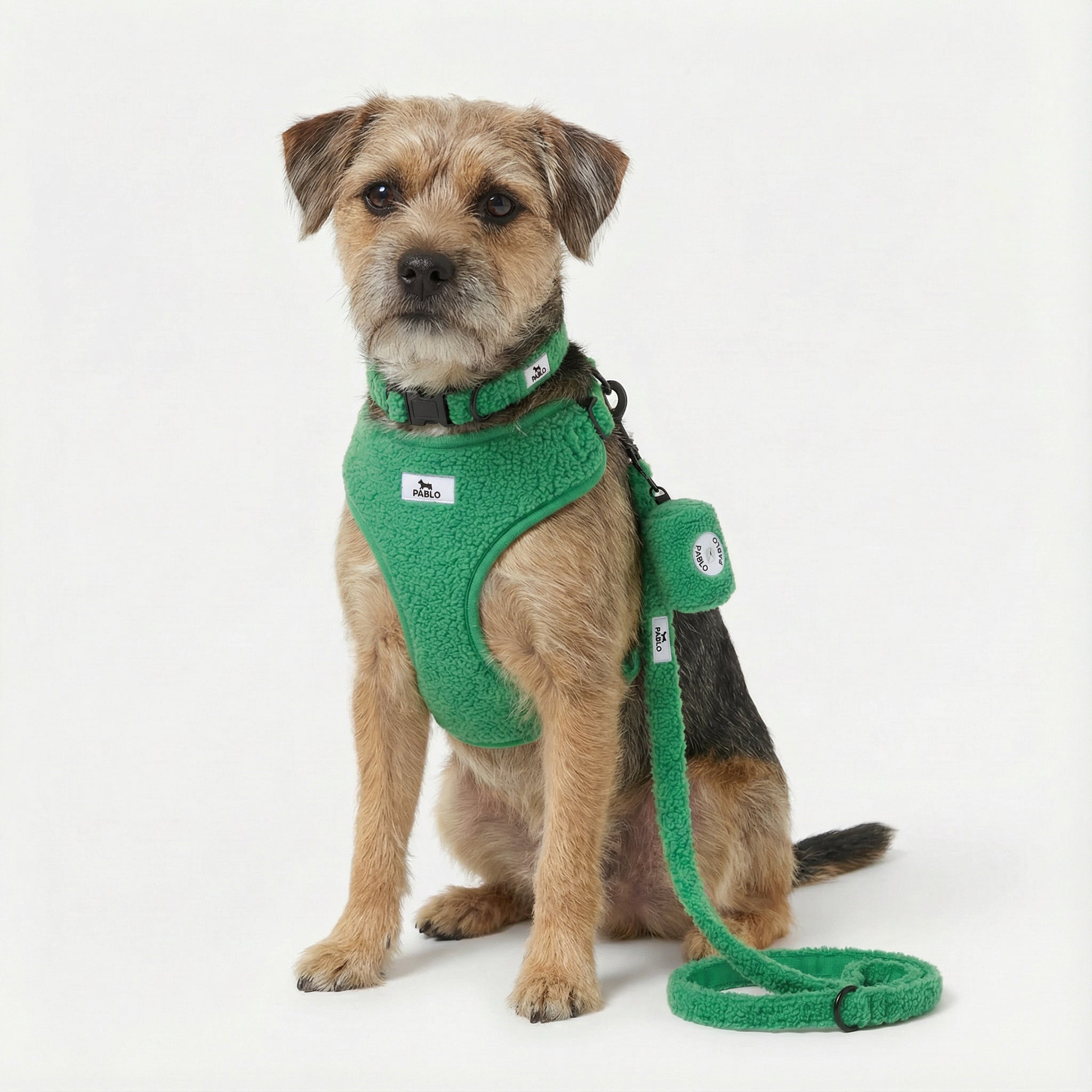 Teddy green set - סט ״טדי״ ירוק