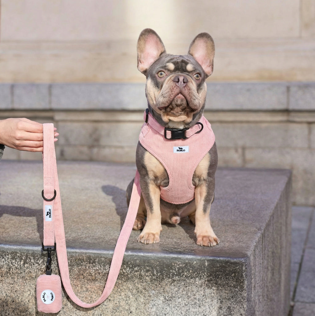 Corduroy pink set - סט ״קורדרוי״ ורוד