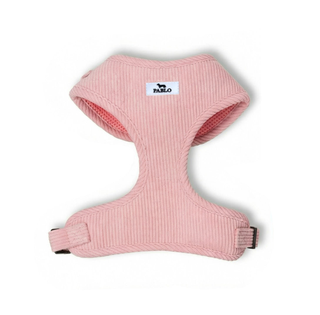 Pink harness - רתמה בורדו