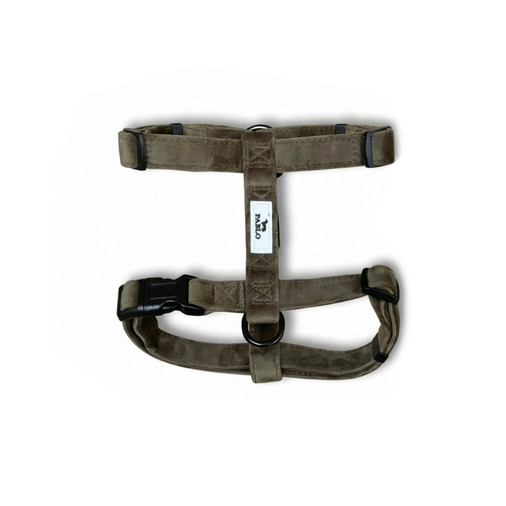 “PABLO” Brown harness - רתמה חומה ״פאבלו״