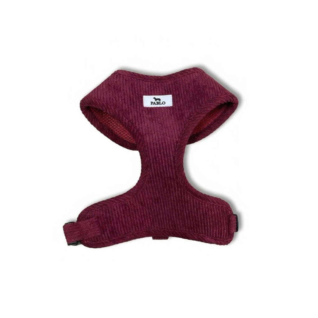 “PABLO” Bordeaux harness - רתמה בורדו ״פאבלו״