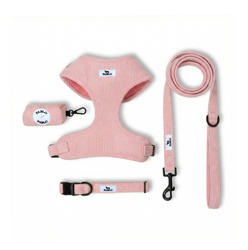 Corduroy pink set - סט ״קורדרוי״ ורוד