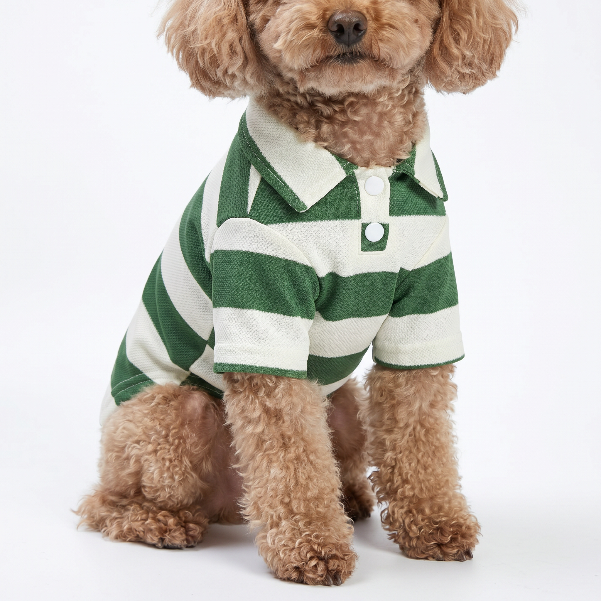 Dog shirt - חולצה לכלב