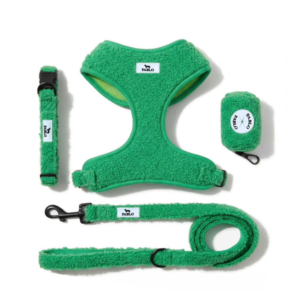 Teddy green set - סט ״טדי״ ירוק