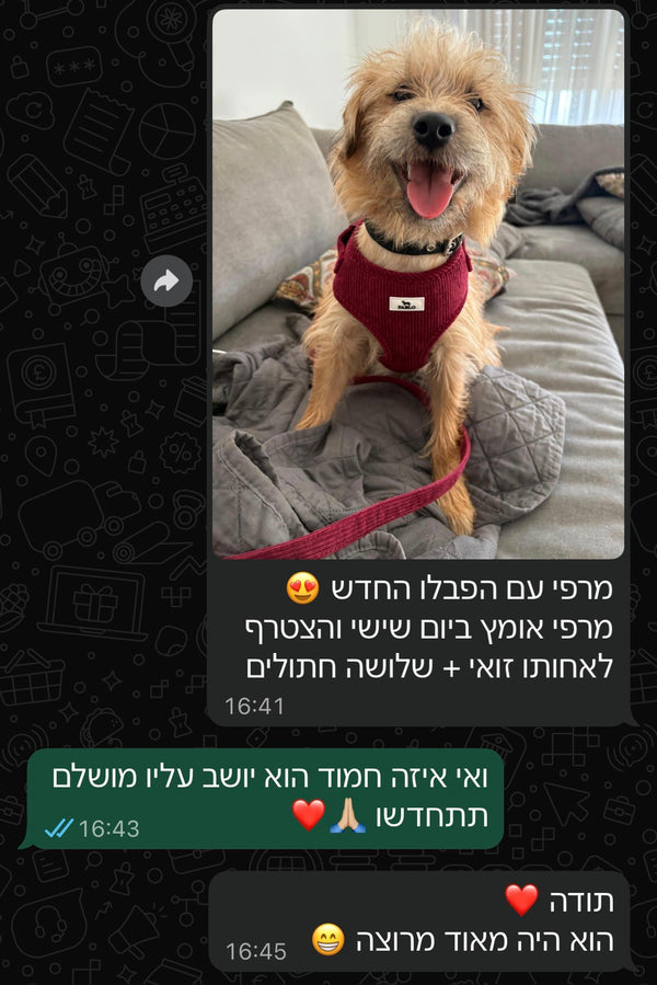 customer