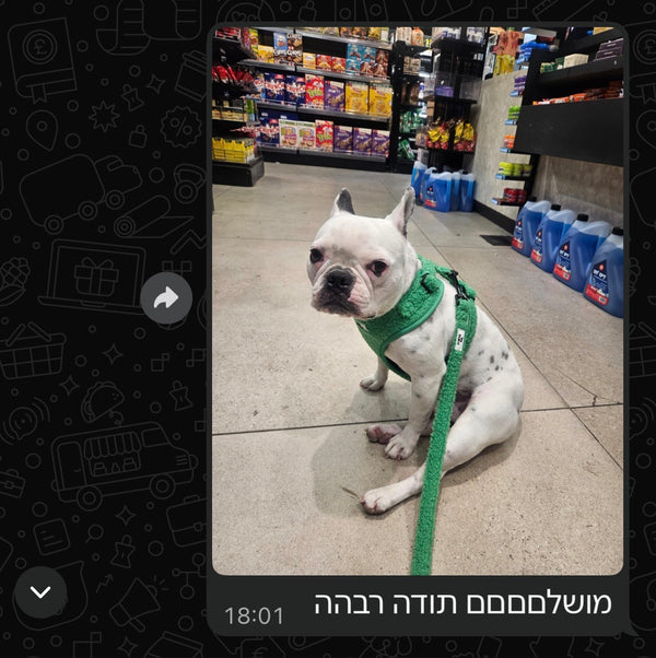 customer