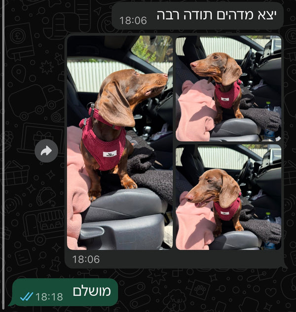 customer