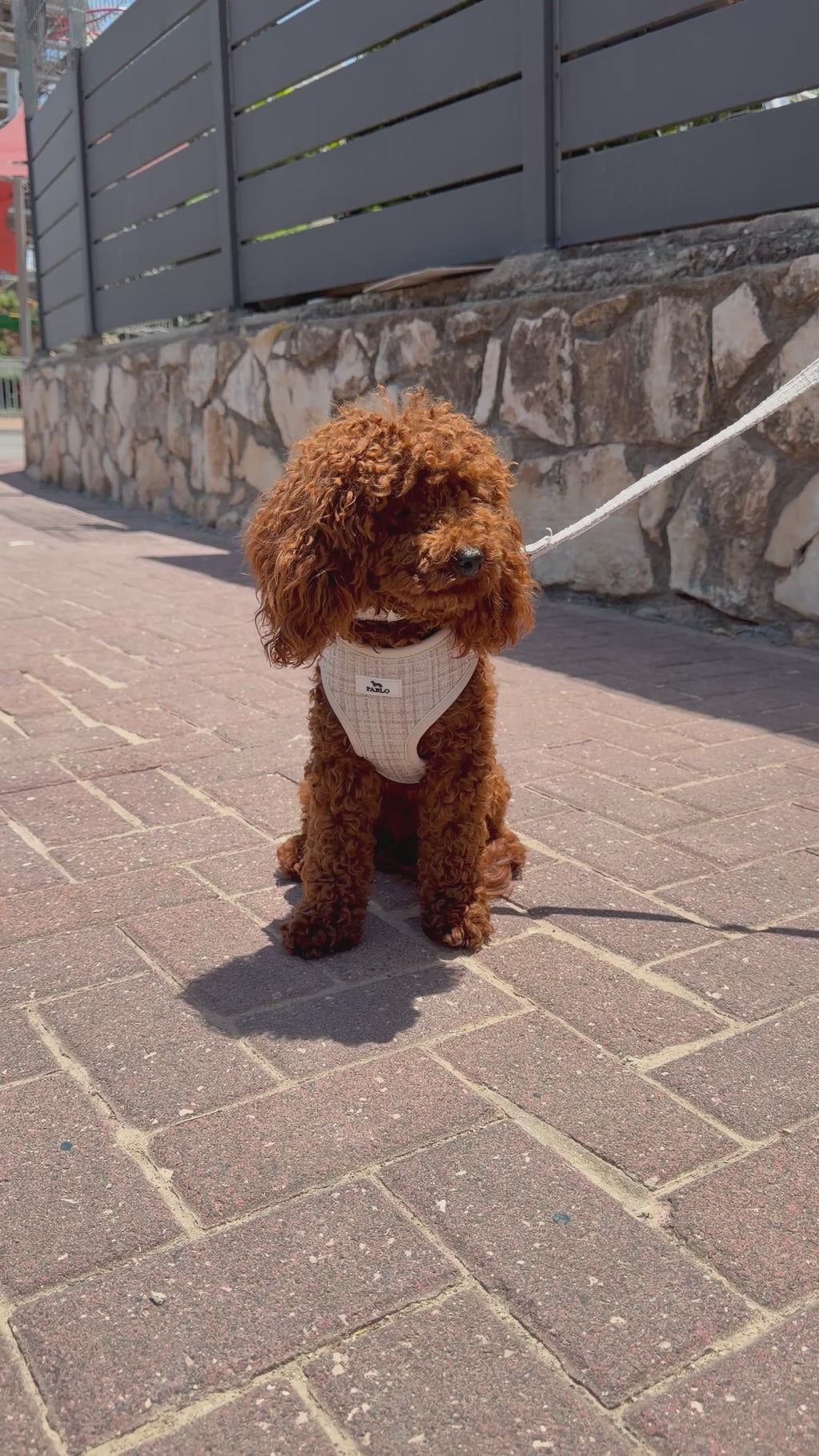 “PABLO”  set - סט ״פאבלו״