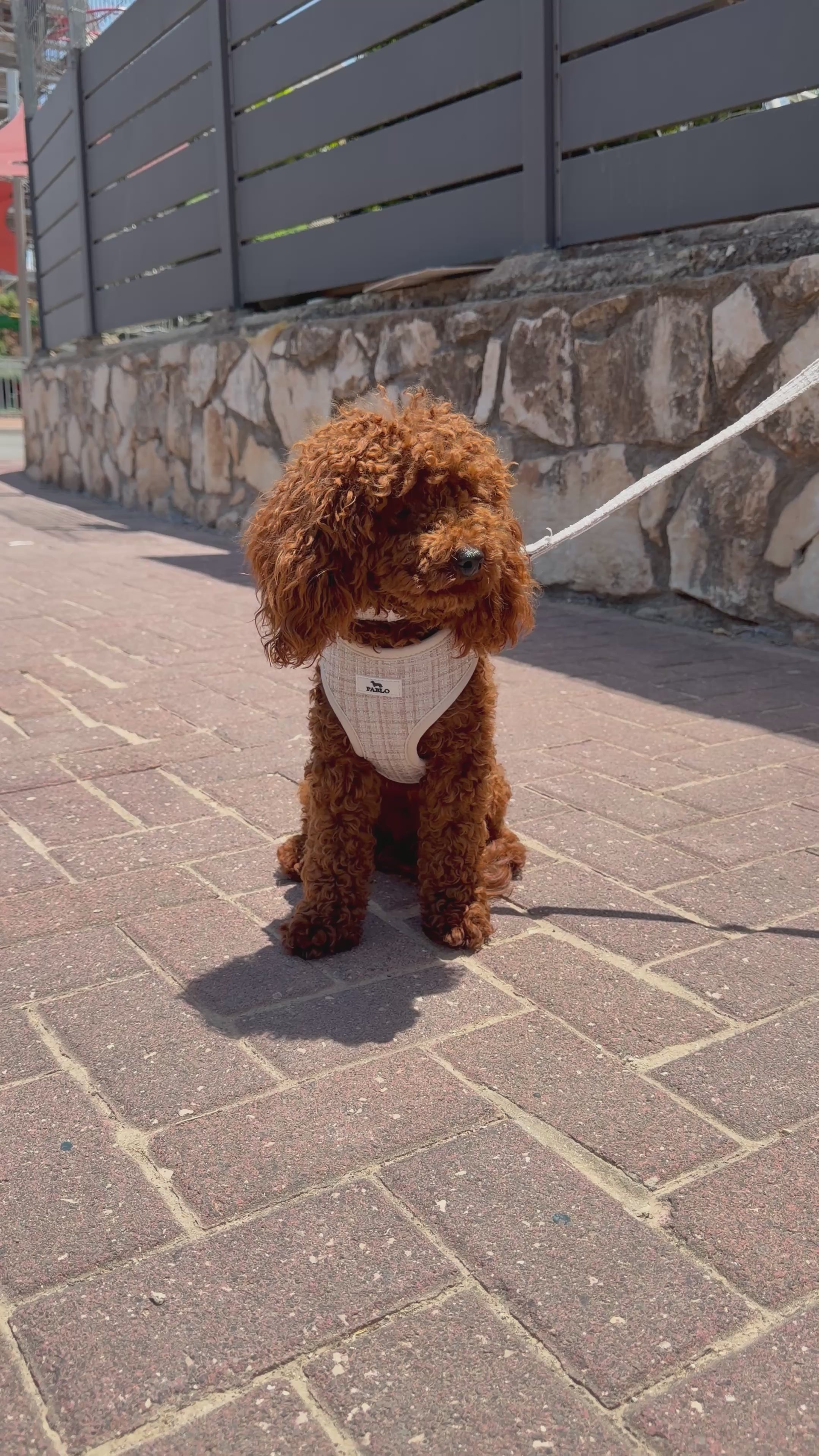 “PABLO”  set - סט ״פאבלו״