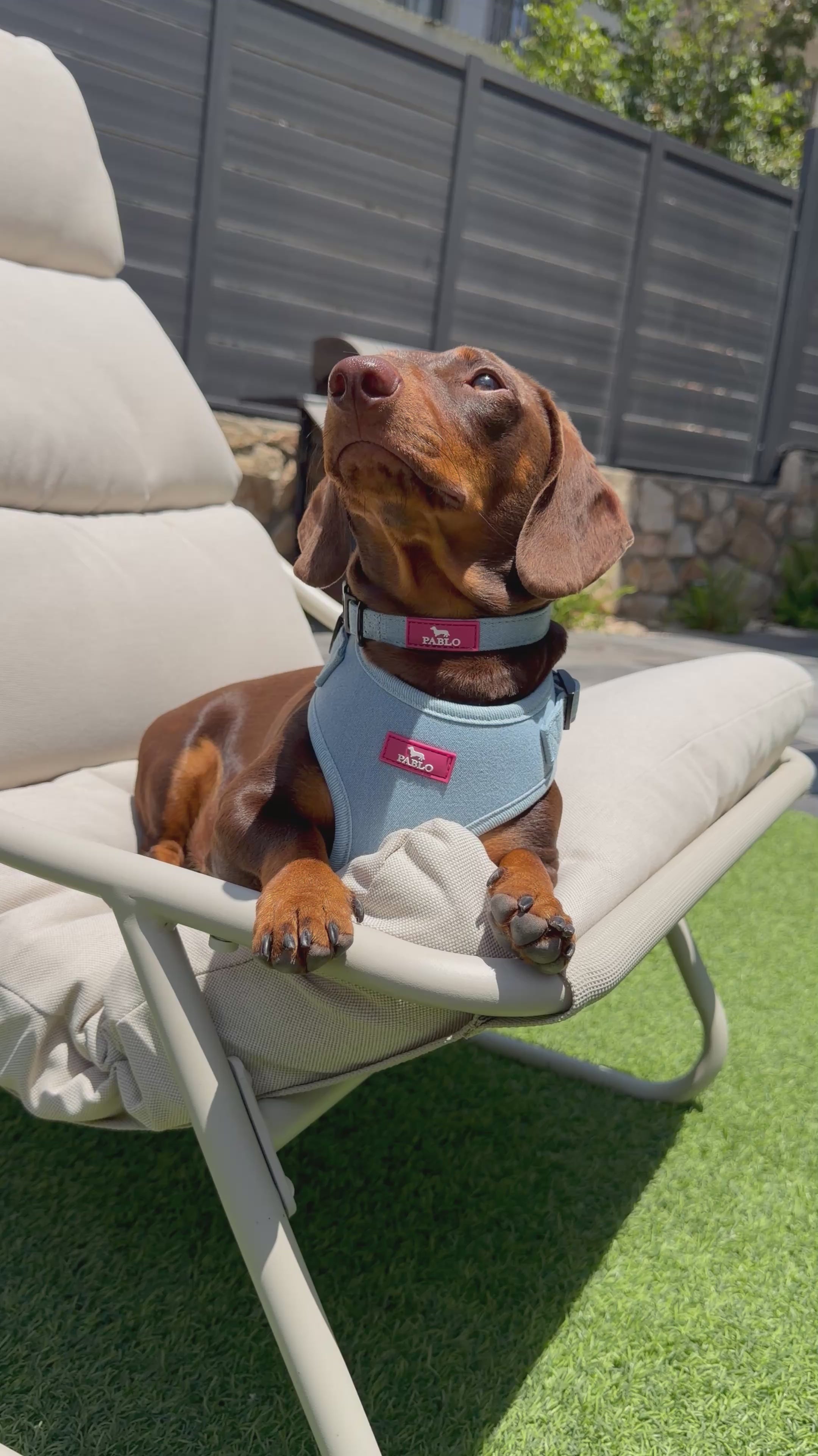 “PABLO” jeans harness - רתמה ג׳ינס ״פאבלו״